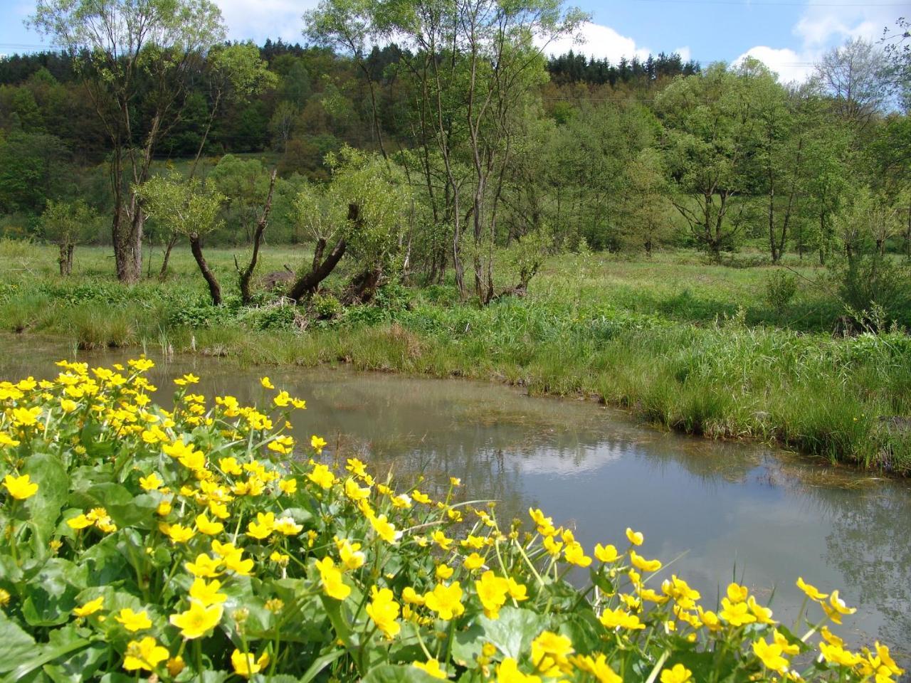 Flair Hotel Hochspessart Heigenbruecken Dış mekan fotoğraf